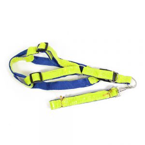 Reflective dog harness with leash (small) ― Contieurope